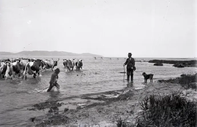 Itatás Balatonföldváron 1932-ben – Fotó: Magyar Műszaki és Közlekedési Múzeum / BAHART Archívum