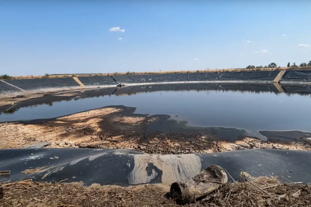 Több őz is belefulladt egy tataházai hígtrágyatározóba