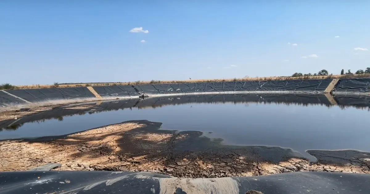 Több őz is belefulladt egy tataházai hígtrágya-tározóba