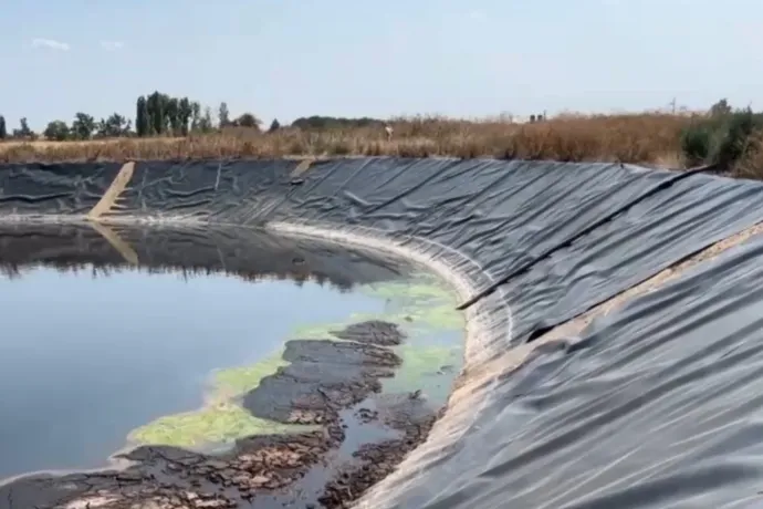 11 őz fulladt egy hét alatt egy Tataháza melletti szennyvíztározóba