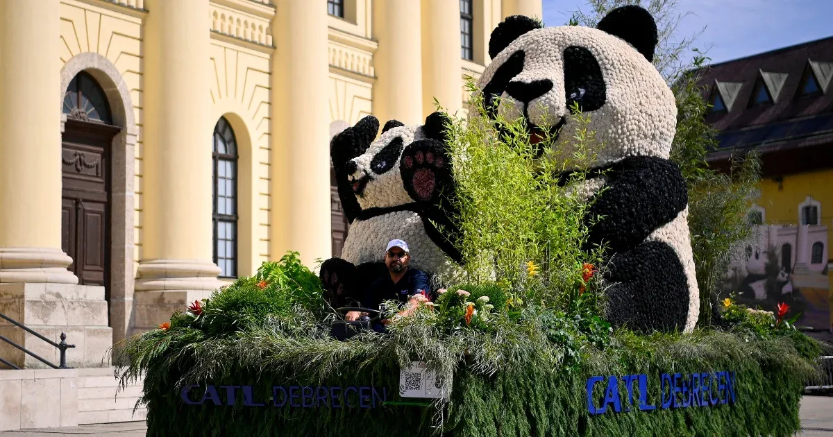 Akkugyáras pandabanda és postatündérek is felvonultak a debreceni virágkarneválon