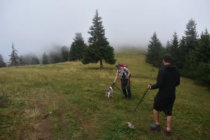 Ereszkedik le a köd – Fotók: Tőkés Hunor / Transtelex