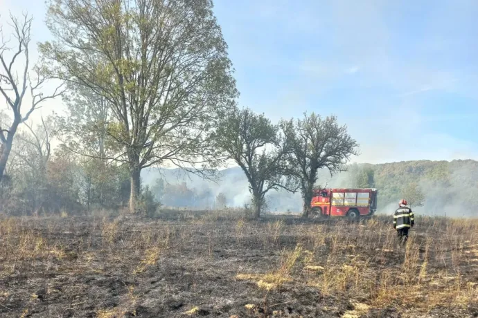 150 hektár tarló égett le Hunyad megyében, 50 tűzoltó küzdött a lángokkal