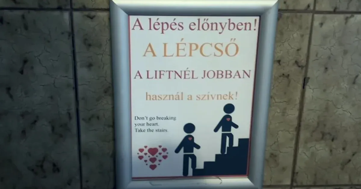 Nem működik a személyzeti lift, és lopják a vécédeszkát a dunaújvárosi kórházban