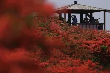 Japán szentélynél szexelt az osztrák férfi, őrizetbe vették