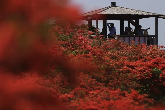 Japán szentélynél szexelt az osztrák férfi, őrizetbe vették