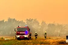 Megfékezték a lángokat a Vas megyei, hatalmas területet érintő erdőtűznél