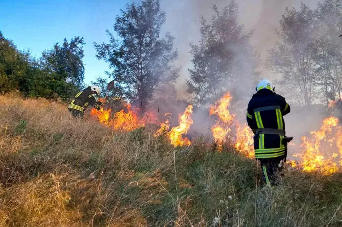 Megint lángol a növényzet a csernobili zónában