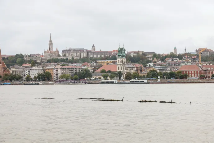 Fotó: Melegh Noémi Napsugár / Telex