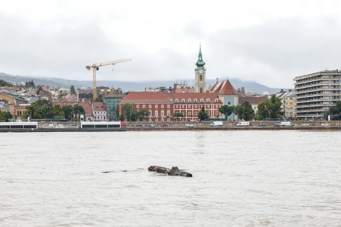 Fotó: Melegh Noémi Napsugár / Telex