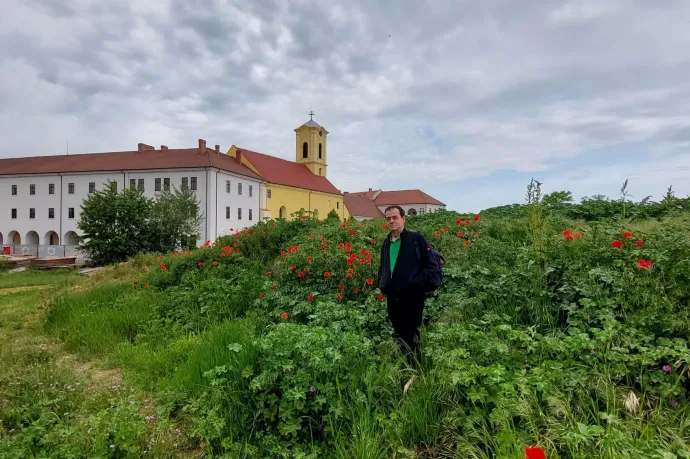 Ludovic Orban bejelentette indulását az államelnök-választáson