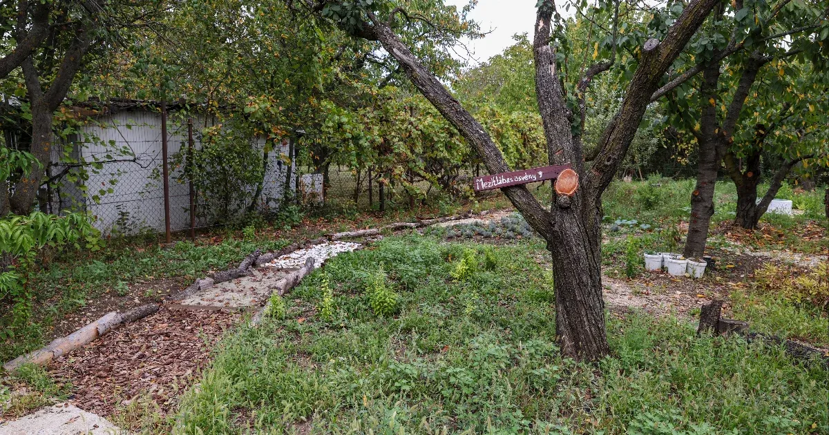 A maffiamódszerek a kertben is működnek