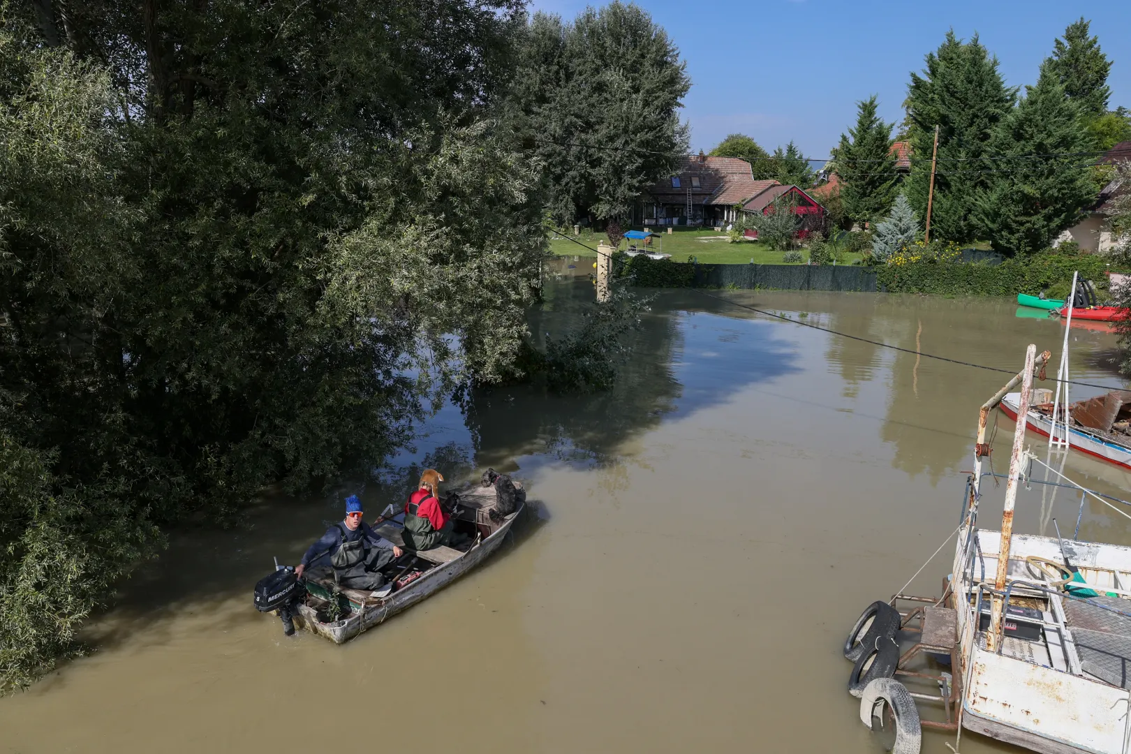 A vízen feltűnik egy motorcsónak, benne egy fiatal pár két kutyával – Fotó: Melegh Noémi Napsugár / Telex