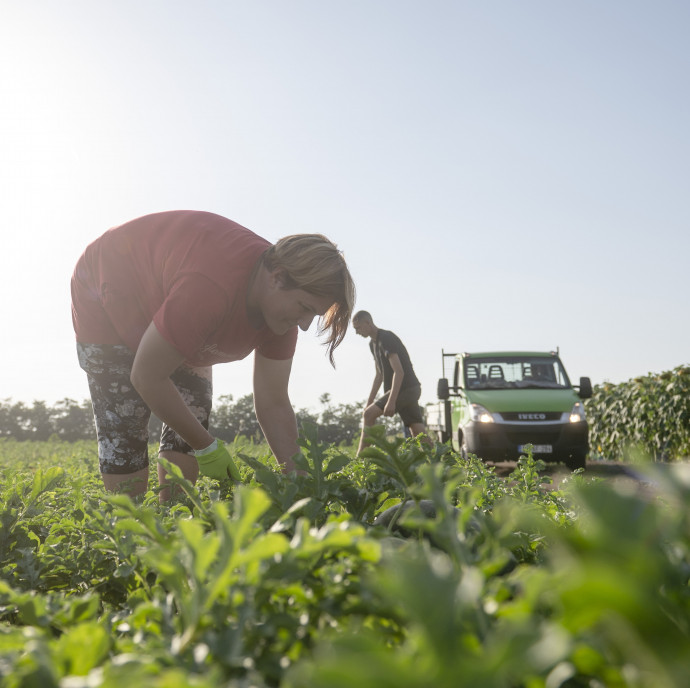 „Egyszerű matematikai kérdéssé” válhat félmillió magyar jövő évi béremelése