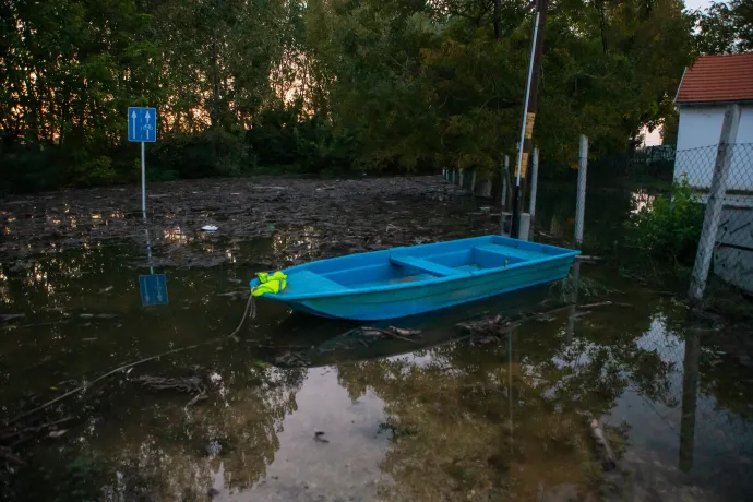 A sziget elárasztott része a tetőzés környékén 2024. szeptember 23-án – Fotó: Guld Péter / Telex