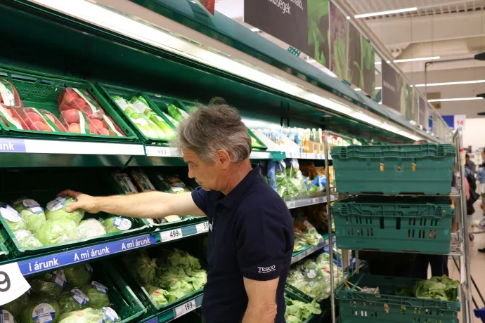 Ételmentés akcióban. Fotó: Tesco Magyarország