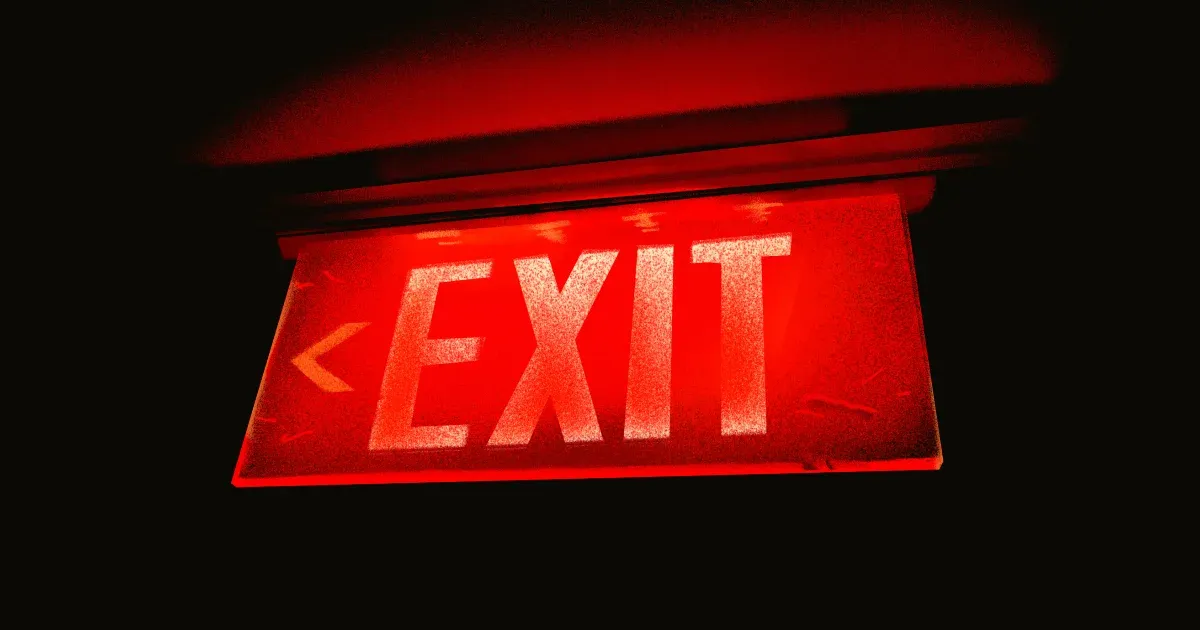 Schillinger Gyöngyvér: Exit