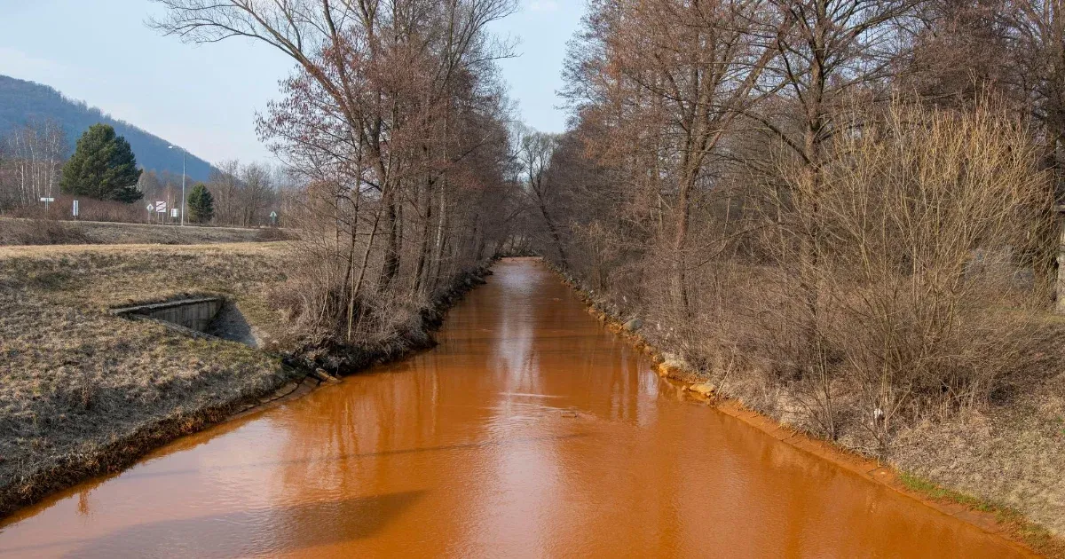 A Nébih szerint inkább ne együnk Sajóból származó halat az arzénszennyezés miatt