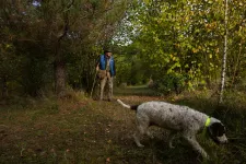 Erdélyi szarvasgomba-vadászatot ajánl a Guardian őszi programként a brit turistáknak