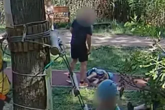 Bocsánatot kért a bíróságon a karateedző, aki felrúgott egy kisgyereket a szolnoki kalandparkban