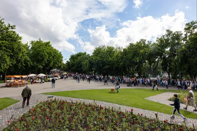 Tovább tart az árvíz utáni vizsgálat, zárva marad a Margitsziget