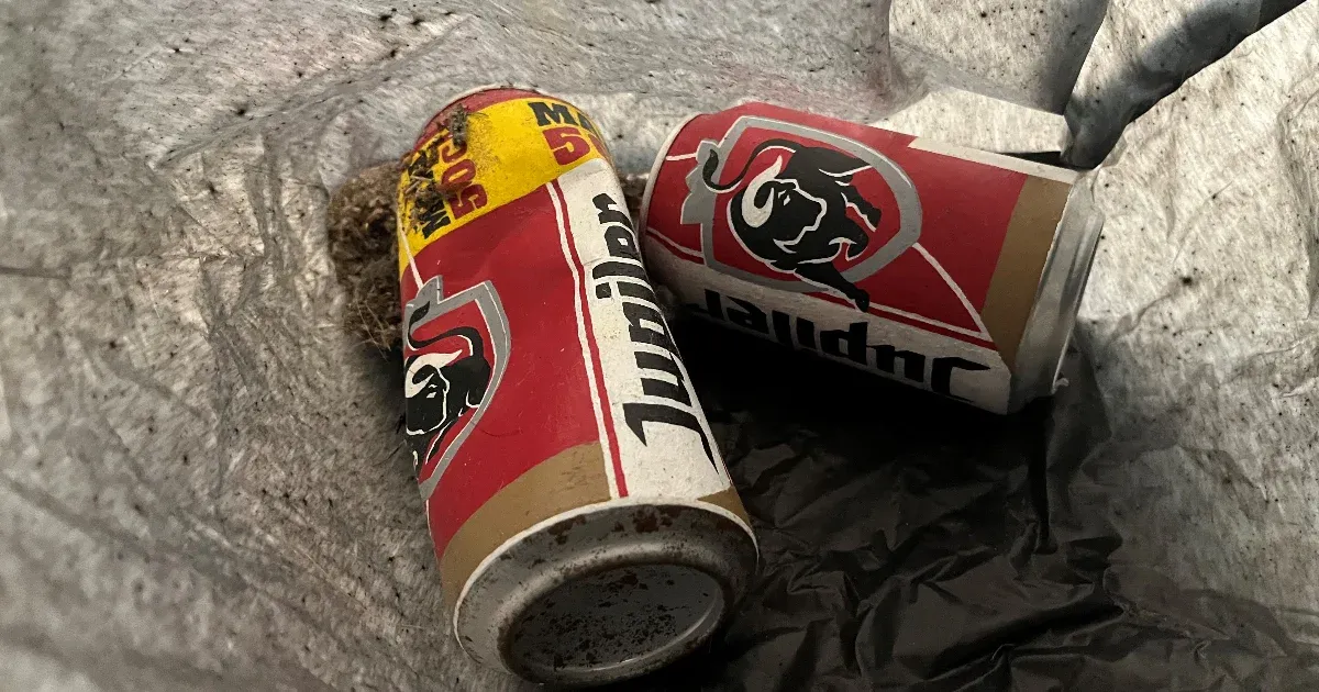 Kidobtak egy sörösdobozokból álló műalkotást egy holland múzeumban, mert azt hitték, hogy szemét