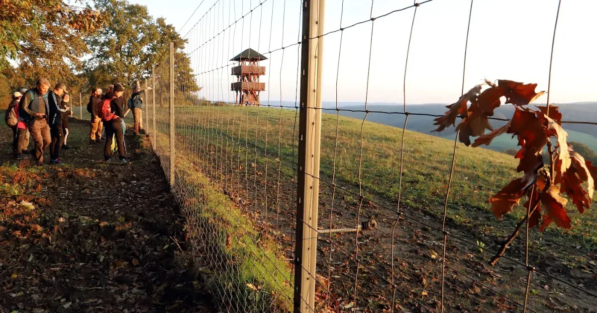 A zselici három-kilátó útja: az Elkerített, az Összeomlott és a Büszke