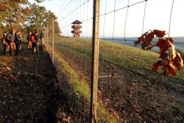 A zselici három-kilátó útja: az Elkerített, az Összeomlott és a Büszke