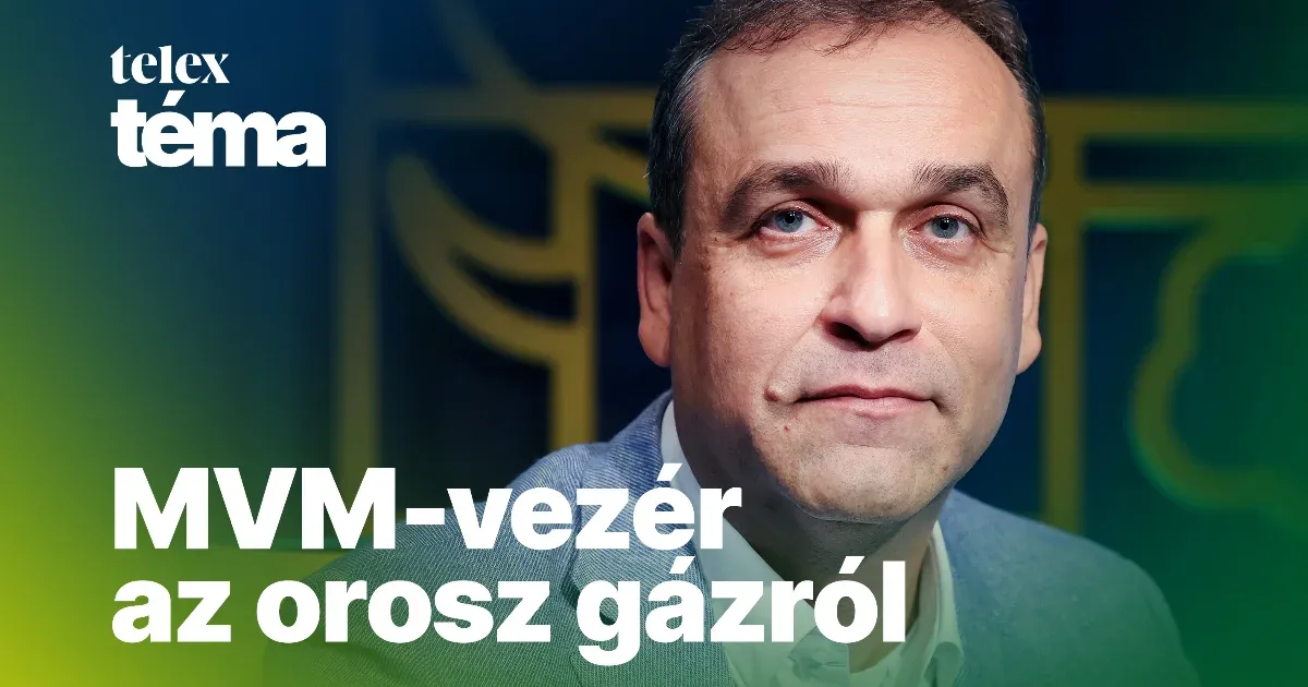 MVM-vezér: A cél, hogy 2035-re egyetlen országnak se legyen 30 százaléknál nagyobb részesedése a magyar gázbeszerzésekből