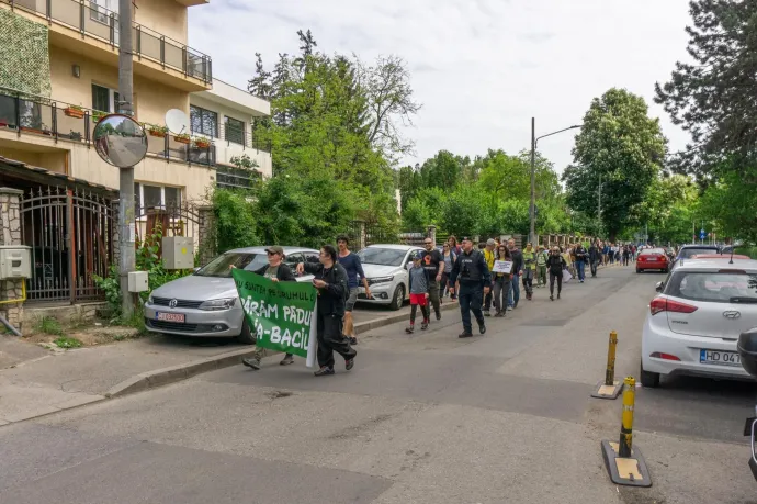 35 egyetemi oktató sürgeti a kolozsvári polgármestert, tiltsa be az autós forgalmat a Hója-erdőben