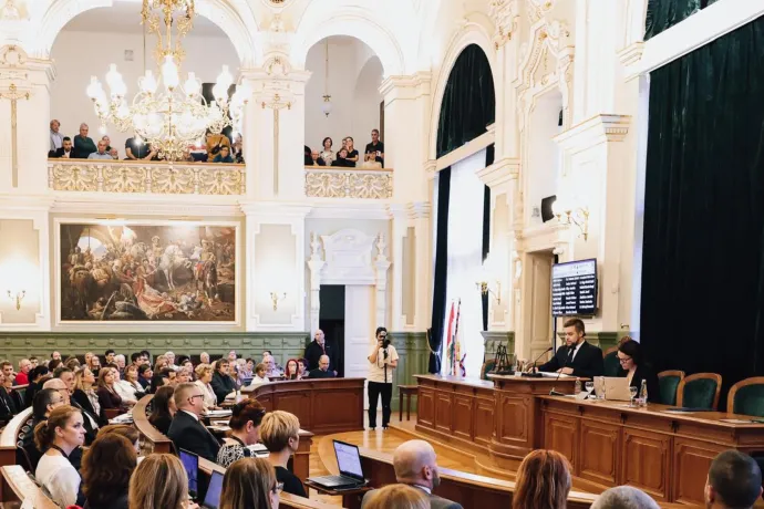 Valóban nonszensz, ha Győrnek csak egy alpolgármestere lesz?