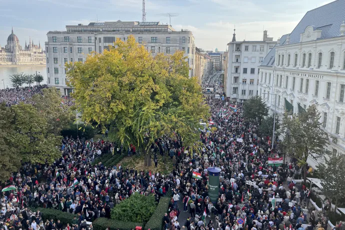 Fotó: Aradi Hanga Zsófia / Telex