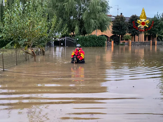 Tűzoltó kutyát ment egy Bologna melletti területen, 2024. október 20-án – Fotó: Vigili Del Fuoco / AFP