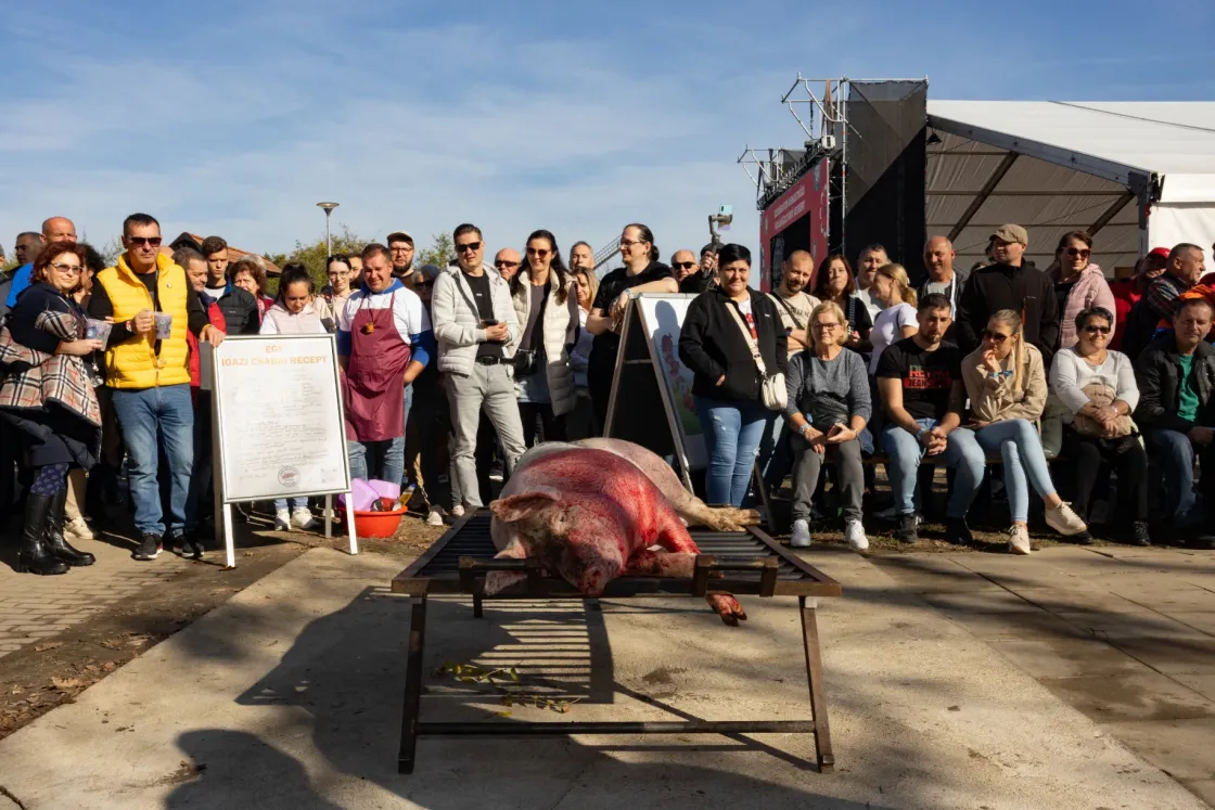 A kolbásztöltő Magyar Péter és a disznó, aki megszökött