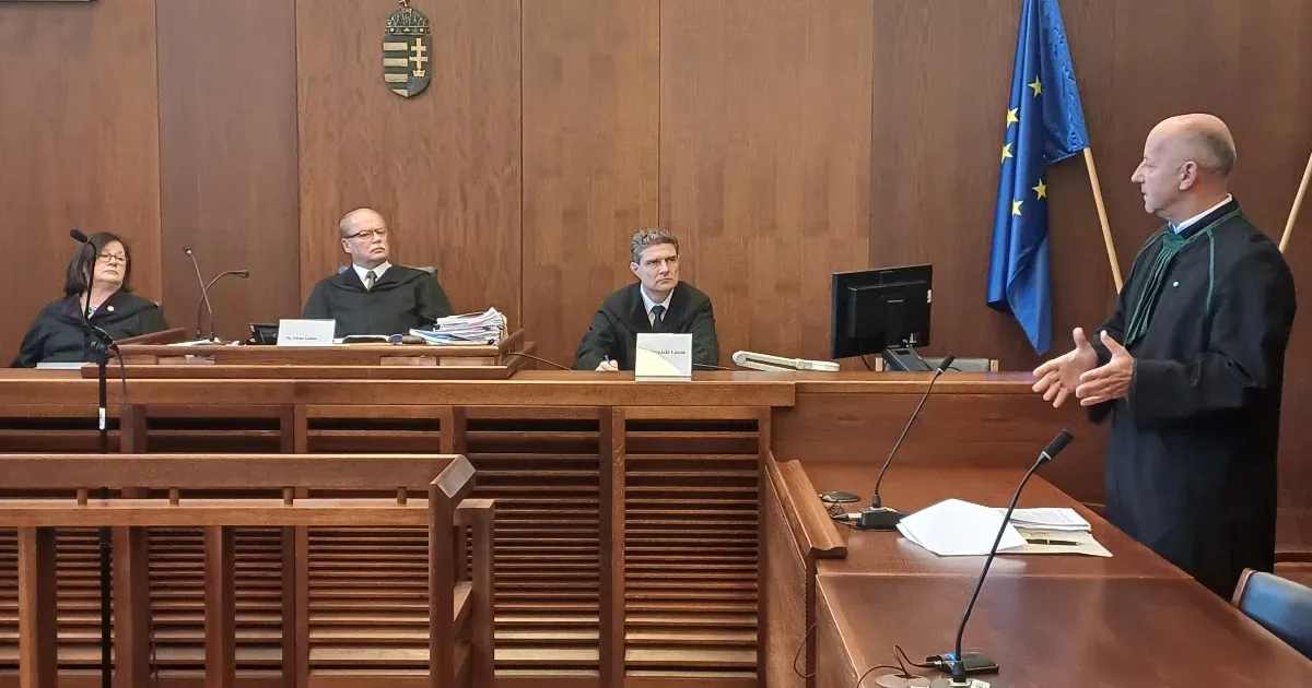 Mégis emberölésért ítélték el a fiát megszúró, 82 éves S. Árpádot, de a börtönbe már nem kell visszavonulnia