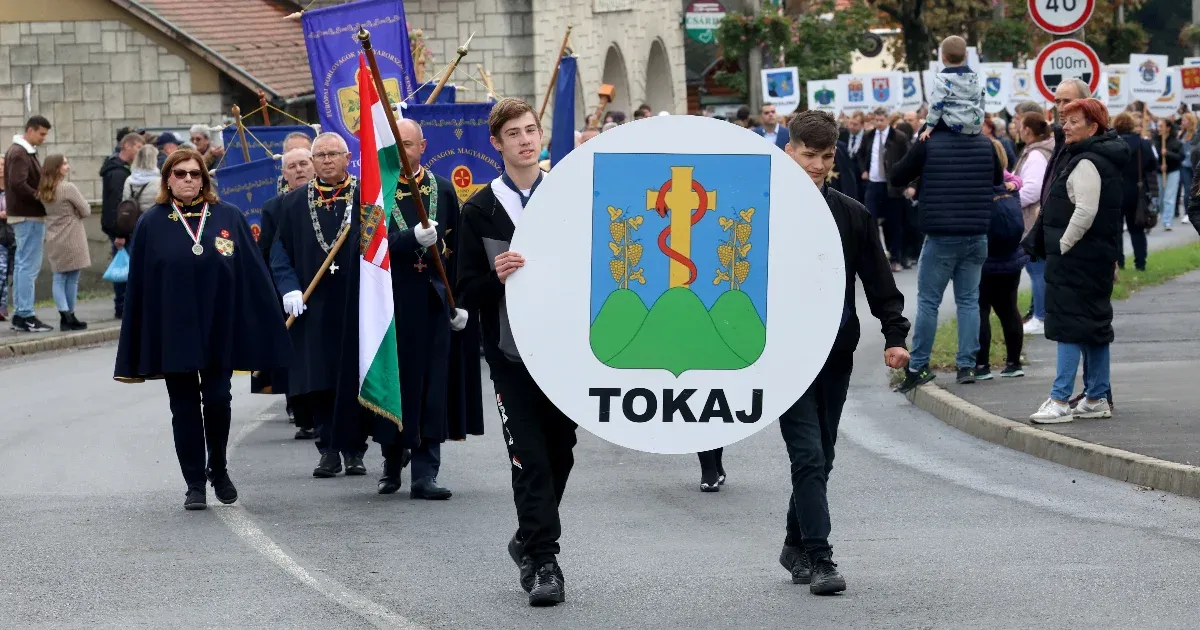 Oldalanként 226 ezer forintnyi közpénz ment a Tokaj-Hegyalja borvidékről szóló tanulmányra