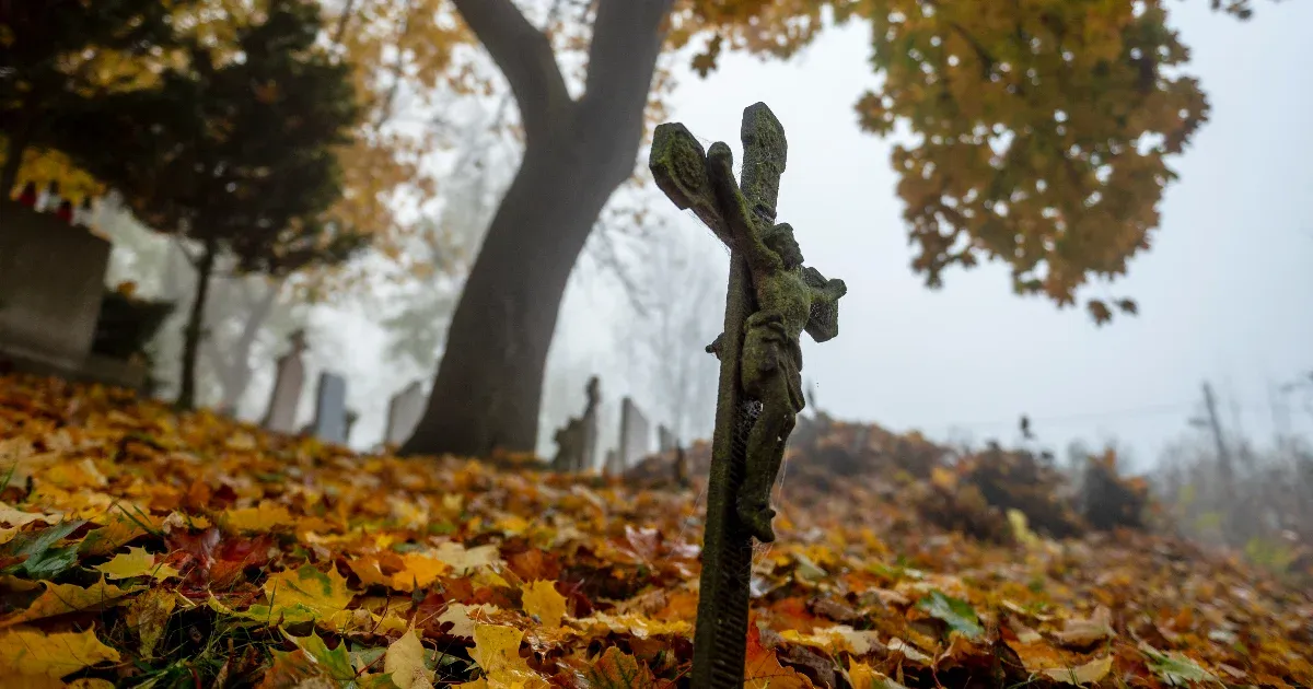 Lágy őszben lehet barangolni a hosszú hétvégén, aztán megérkezik a hidegfront