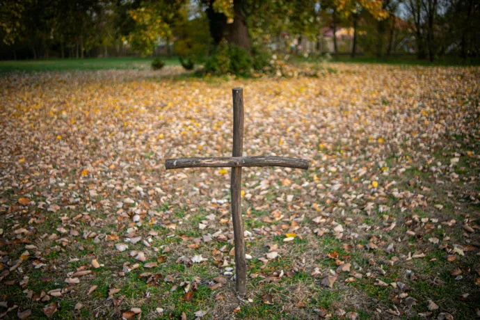 Fent egy koldus- vagy katonasír, lent gombosfák – Fotó: Szűcs Dániel / Szegeder / Telex