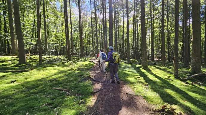 Turistautak a Saar-vidéki erdőkben – Fotó: Zubreczki Dávid