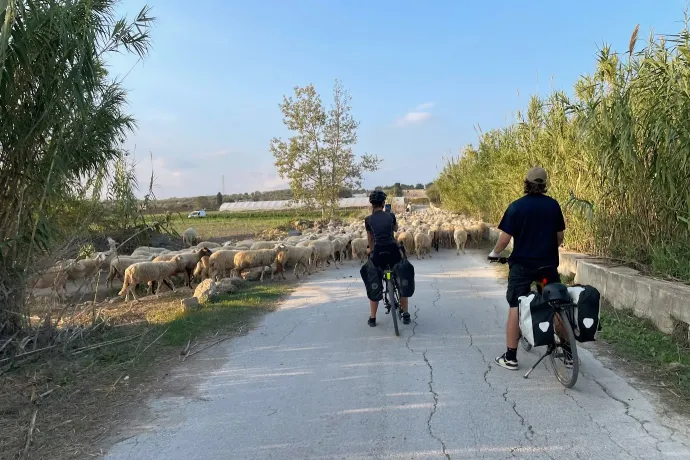 Noto, Fontane Bianche és a birkadugó – Fotó: Tenczer Gábor / Telex