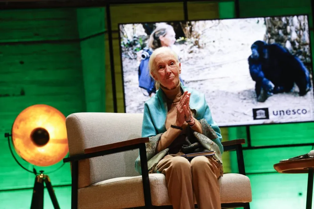 Jane Goodall szerint biztos léptekkel haladunk a kihalás felé