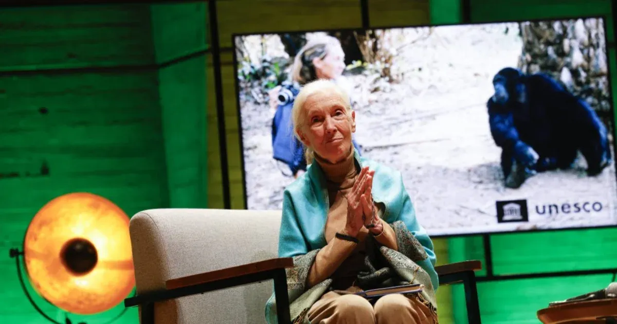 Jane Goodall szerint biztos léptekkel haladunk a kihalás felé