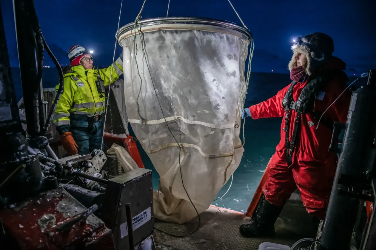 Charlotte Havermans, az Alfred Wegener Sarkvidéki és Tengeri Kutatóintézet kutatója, valamint (jobbra) és Marine Ilg, a Kings Bay Tengeri Laboratórium munkatársa planktonhálót telepítenek biológiai kutatás céljából a Kongsfjordenben. Charlotte Havermans vezeti az Arctic Jellies kutatócsoportot, amely a sarki medúzák sokféleségét, ökológiáját és adaptációját vizsgálja. Az Északi-sarkvidéken bekövetkező változások a vízoszlopra és az abban élő szervezetekre is hatással vannak. Charlotte Havermans először 2022 januárjában, a sarki éjszaka során figyelte meg a sisakos medúzát. Ez egy új faj a sarki vizekben, amely néhány évvel korábban jelent meg a fjordban, és ami veszélyt jelenthet a biodiverzitásra. A medúzák elszaporodása, amelyet az atlanti fajok északra húzódása idéz elő, valószínűleg a klímaváltozás következménye, és hatással lehet a helyi halállományra. A melegebb vizekből érkező medúzák az őshonos sarki halfajokkal versengenek ugyanazokért a táplálékforrásokért, ami így megváltoztathatja az ökoszisztémát. Charlotte Havermans és kutatócsoportja egyik fő kutatási területe a Spitzbergák, ahol a Kongsfjorden medúzapopulációját vizsgálják Ny-Ålesund közelében. / Sisakos medúza (Periphylla periphylla), amelyet az Alfred Wegener Intézet kutatói, Charlotte Havermans és kollégái találtak a Kongsfjordenben, a Ny-Ålesund kutatóbázis közelében – Fotó: Esther Horvath