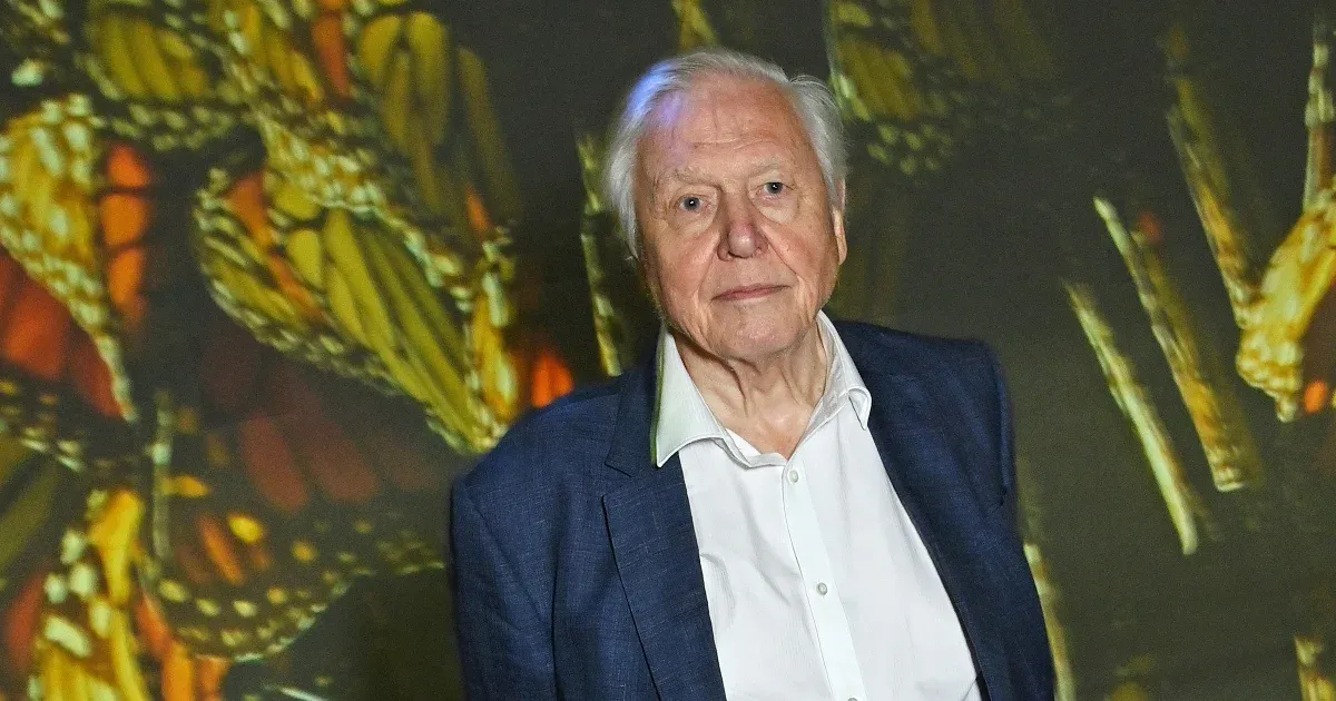 David Attenborough felháborítónak tartja, hogy mesterséges intelligenciával másolják a hangját