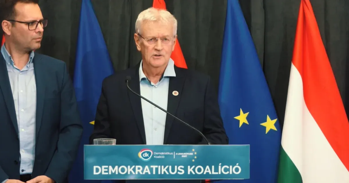 A DK egy korábbi polgármestert indít a tolnai időközi választáson