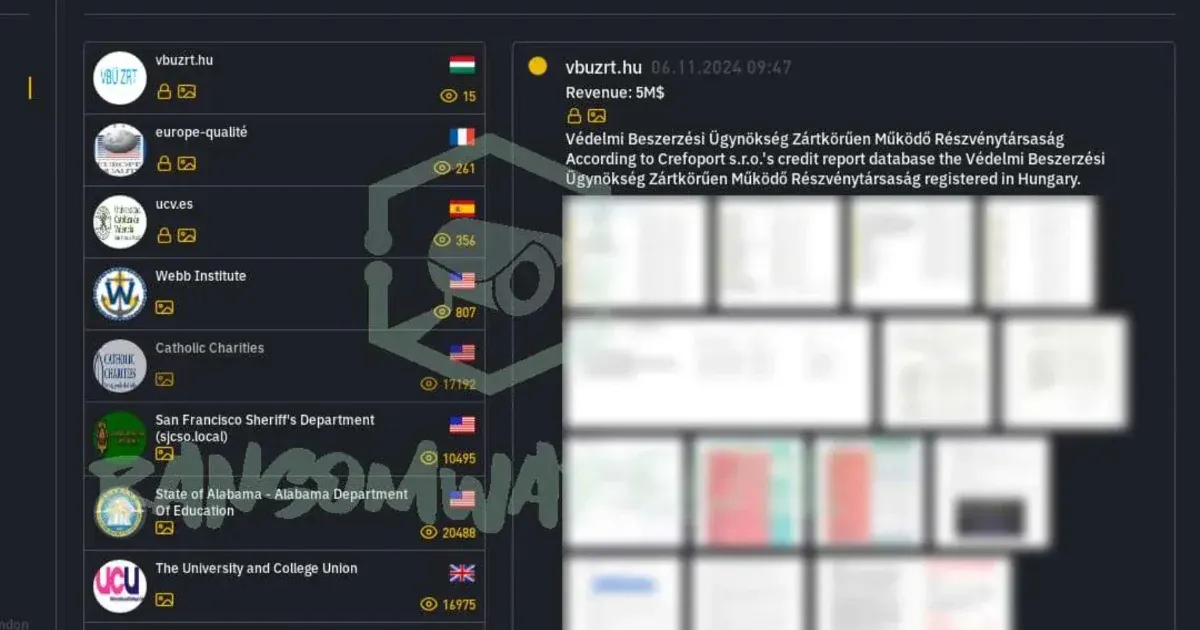 Lekerültek a Védelmi Beszerzési Ügynökség anyagai a hekkercsoport oldaláról