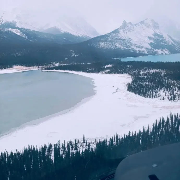 A környék a keresőosztagok légi felvételén – Forrás: Kamloops Search and Rescue