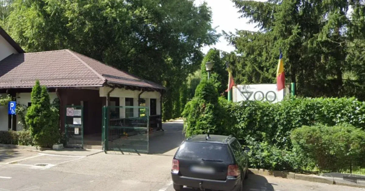 Tigris tépett szét egy gondozót egy romániai állatkertben