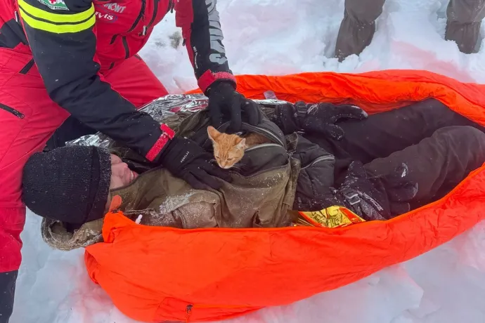 Egy cica mentette meg egy harkovi menekült életét