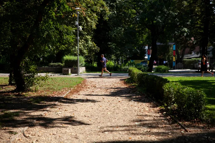 Futó a városmajori parkban – Fotó: Rostás Bianka / Telex